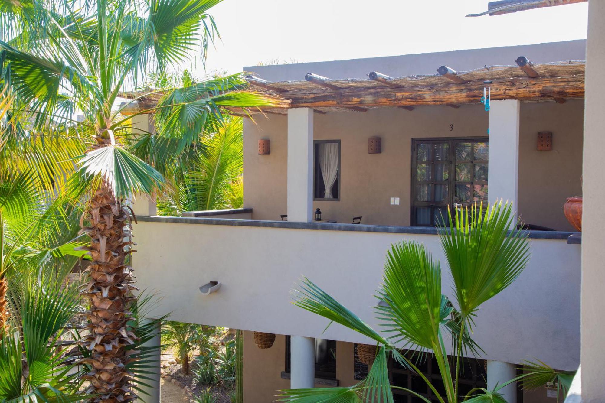 Pure Baja Private Suites-Upscale Property With Infinity Pool And Lush Gardens El Pescadero  Buitenkant foto