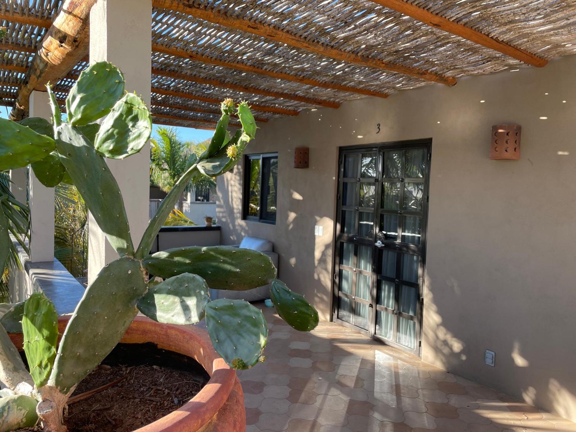 Pure Baja Private Suites-Upscale Property With Infinity Pool And Lush Gardens El Pescadero  Buitenkant foto